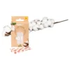 Baumwoll-Pflaster Bio, 10 Stück