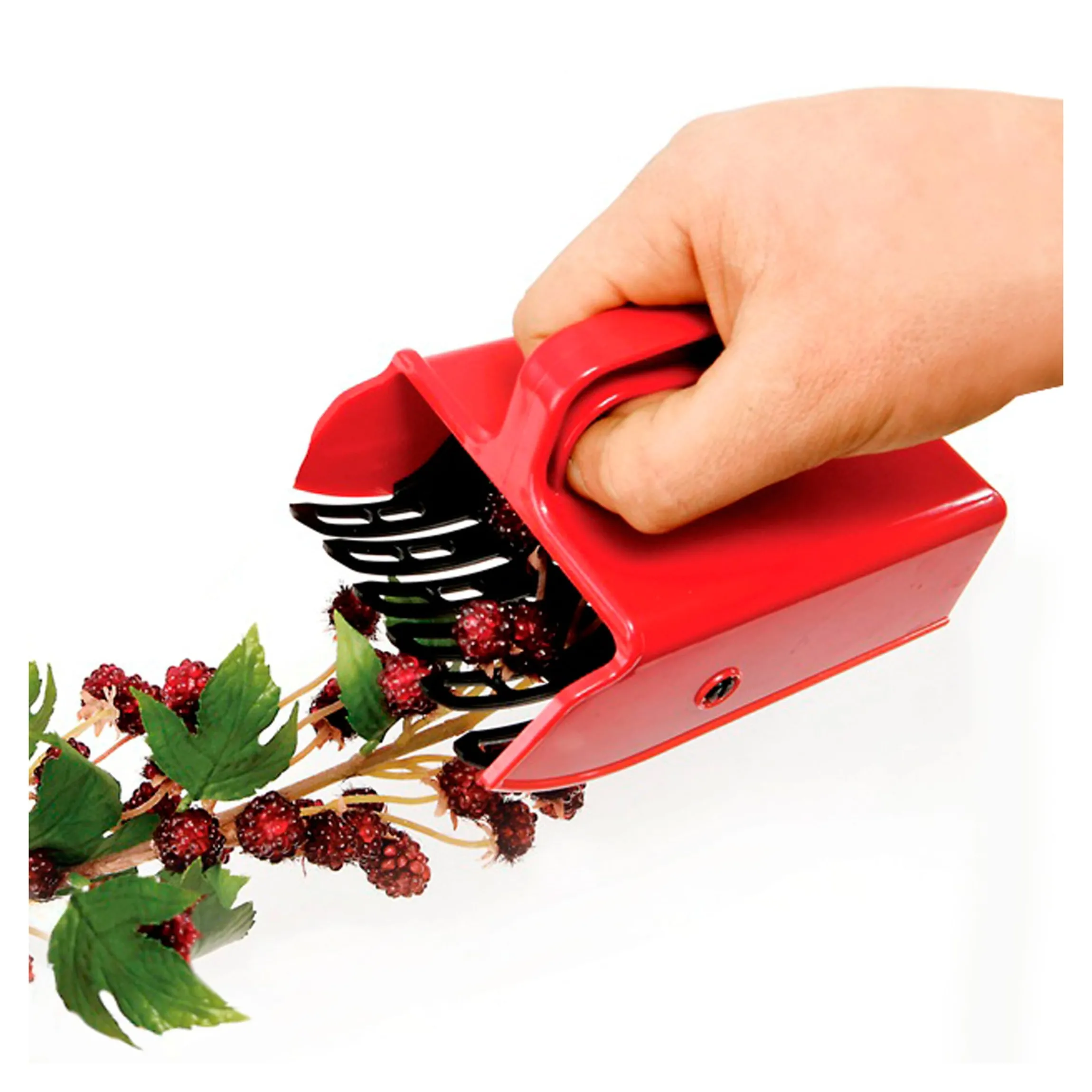 Beeren-Pflücker