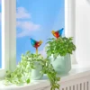 Bewässerungshilfe „Birdie“, 2 Stück