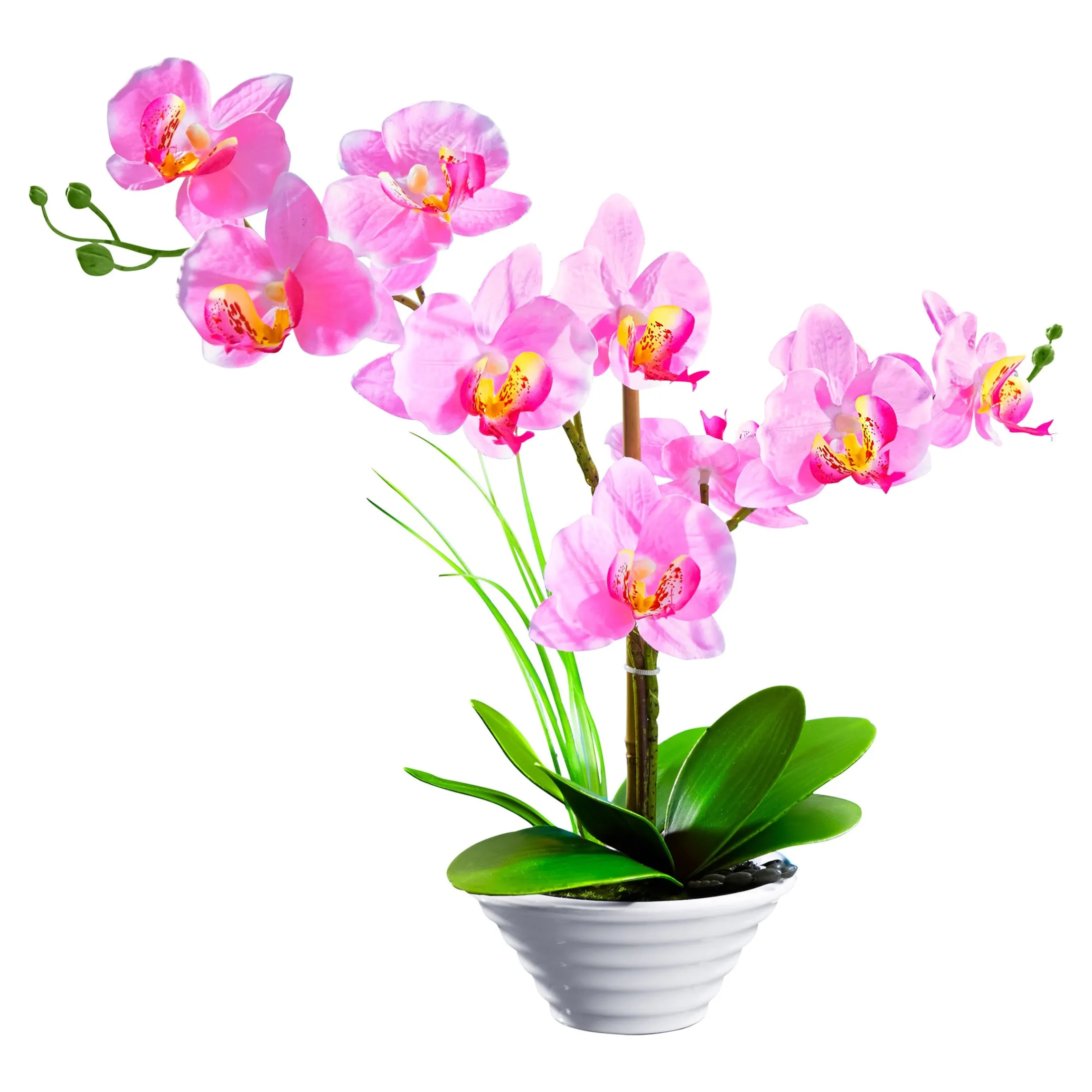 Deko-Traum "Orchidee"