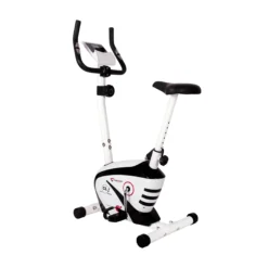 Heimtrainer