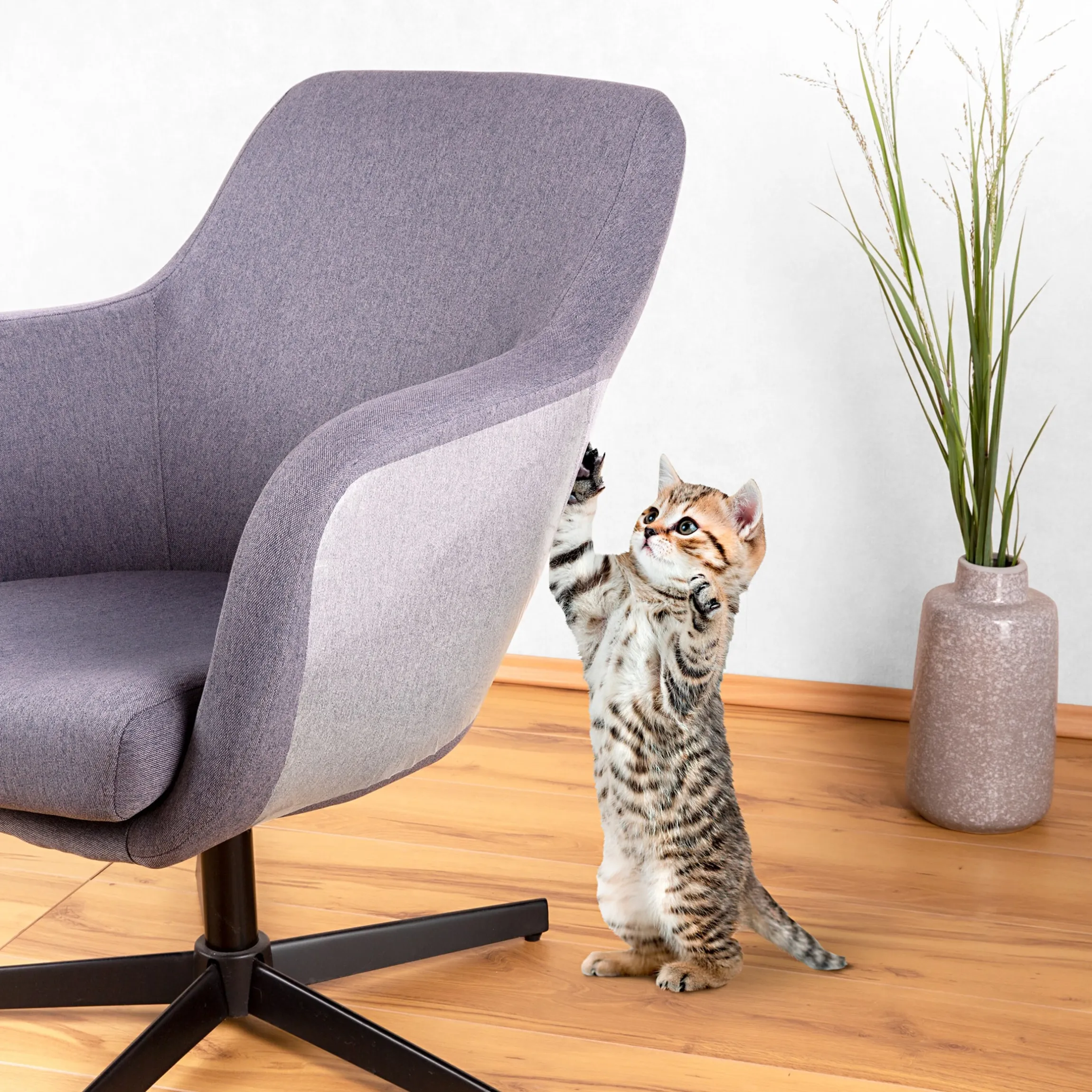 Katzen-Schutzkleber, 10 Stück