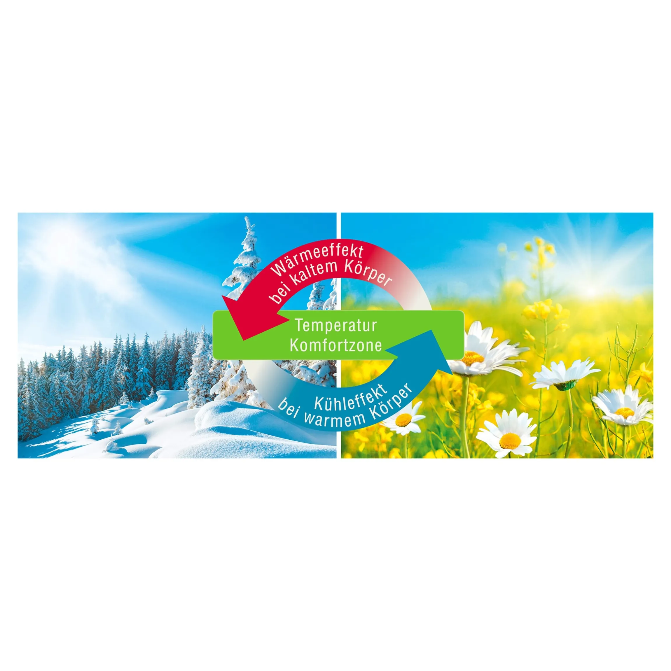 Kissen Klima Active Plus 40x80 cm