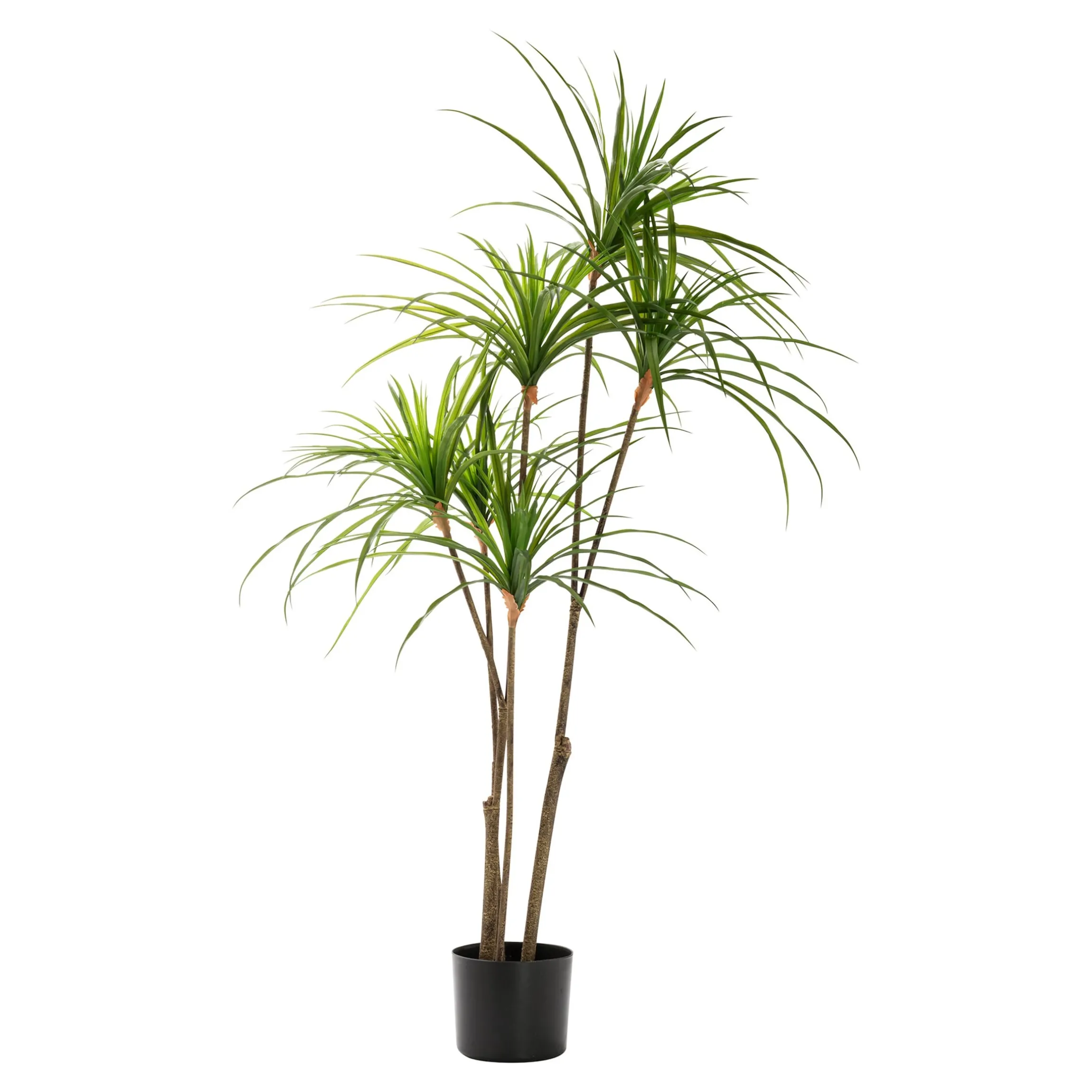 Kunstpflanze "Dracaena"