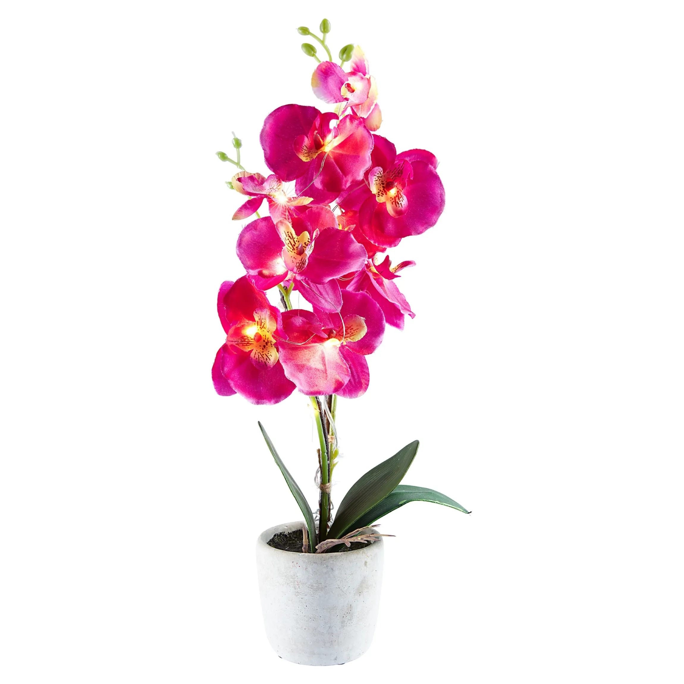 LED-Orchidee