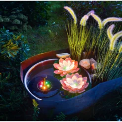 Solar-Seerose weiß