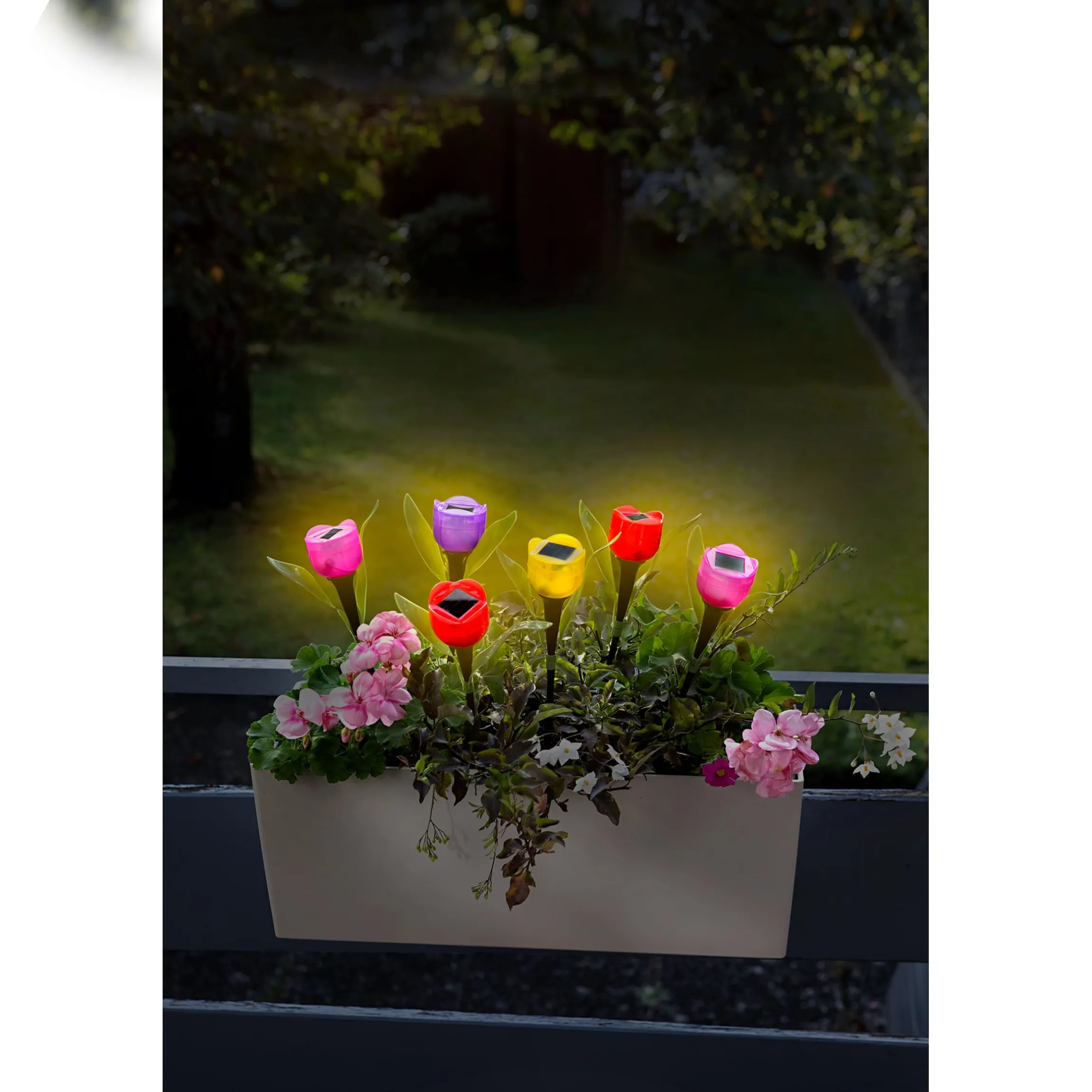 Solar-Tulpen "Kunterbunt", 6 Stück
