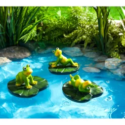 Teichfrosch Lucki
