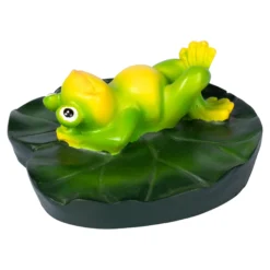 Teichfrosch Lucki